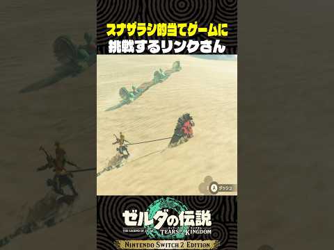 スナザラシ的当てゲームに挑戦するリンクさん【ゼルダの伝説 ティアキン】
