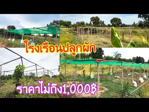 สร้างโรงเรือนปลูกผัก-แบบประหยั สร้างโรงเรือนปลูกผัก-แบบประหยั