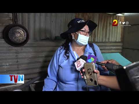 Managua: eliminan los zancudos en viviendas del barrio San Ignacio