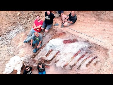 Descubren en Portugal los restos fósiles del dinosaurio más grande hallado en Europa