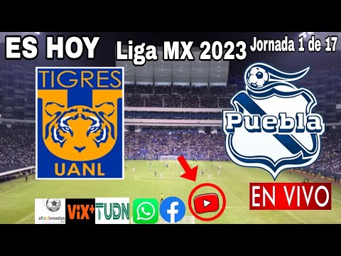 Tigres vs. Puebla en vivo, donde ver, a que hora juega Tigres vs. Puebla Liga MX 2023