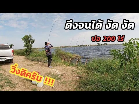 ตกปลาหน้าดินบ่อ200ไร่บางน้ำเป