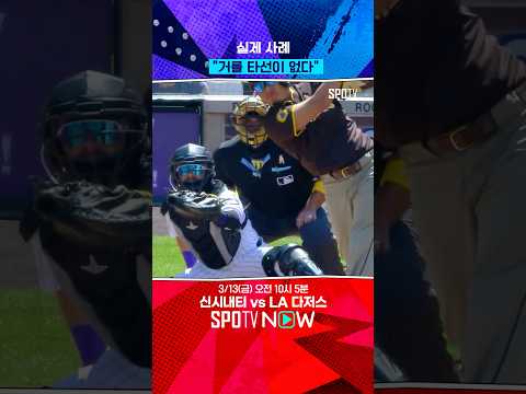 도미니카 타자=선발 전원 MLB 20홈런 타자