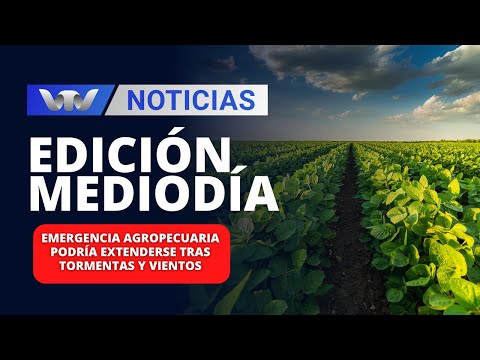 Edición Mediodía 19/12 | Emergencia agropecuaria podría extenderse tras tormentas y vientos