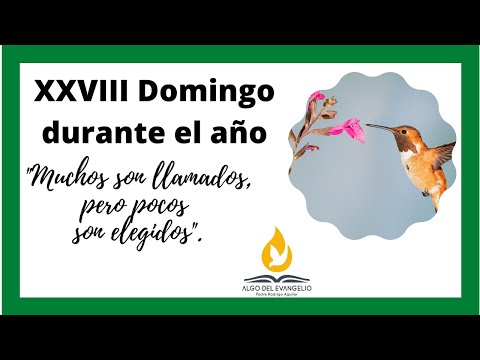 EVANGELIO DE HOY-XXVIII Domingo durante el año-11/10-Mateo 22, 1-14-Pocos son elegidos