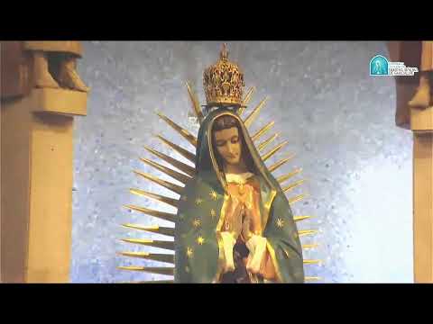 Santa Misa   | 03-Diciembre-2023 | Primer Domingo de Adviento