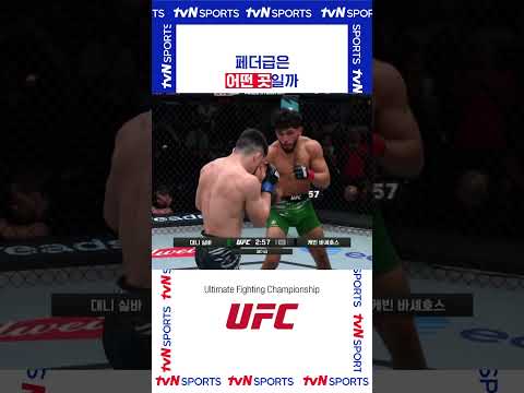 페더급은 어떤 곳일까 #UFC