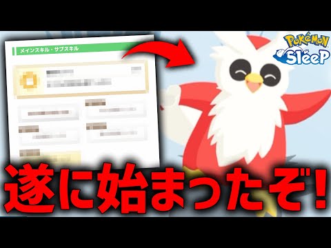 ホリデーの大本命『良個体デリバード』遂に登場【ポケモンスリープ】