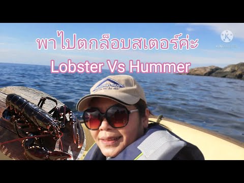 ล็อบสเตอร์#Lobster.-ไปดูการตกล ล็อบสเตอร์#Lobster.-ไปดูการตกล