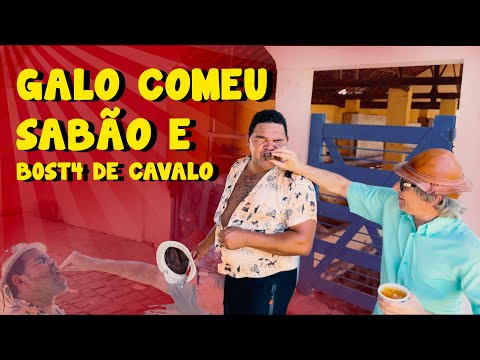 GALO COMEU SABÃO E BOST4 DE CAVALO