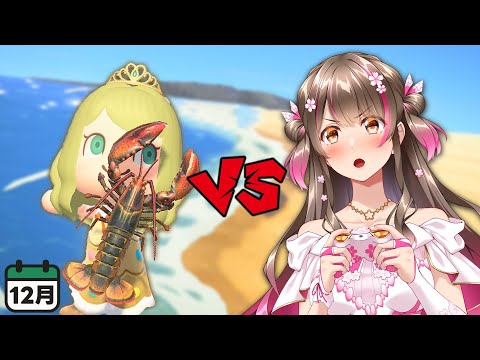 【あつ森】レアな海の幸が大量!12月に出現する全ての海の幸をコンプしつつ、ベルを沢山稼ぎたい 【あつまれどうぶつの森ライブ】