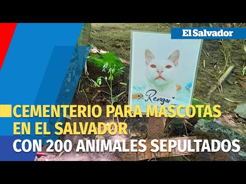 Conoce el único cementerio para mascotas de El Salvador