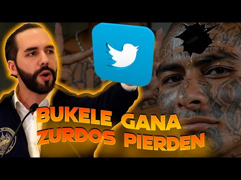 Piden un BUKELE en COLOMBIA | PETRO Y SU FAMILIA TRAICIONAN al PUEBLO