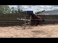 Show jumping horse MV uit Lady Cara stam Le Blue Diamond x Jaquar Mail x Hors la Loi
