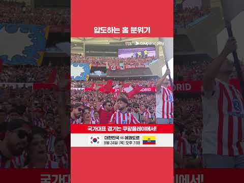 엄청난 분위기를 보여주는 AT. 마드리드 홈|라리가|AT. 마드리드 vs 레알 마드리드