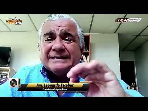 Leonardo Escobar: Es urgente un censo agropecuario - Un Café con JJ - Noticias