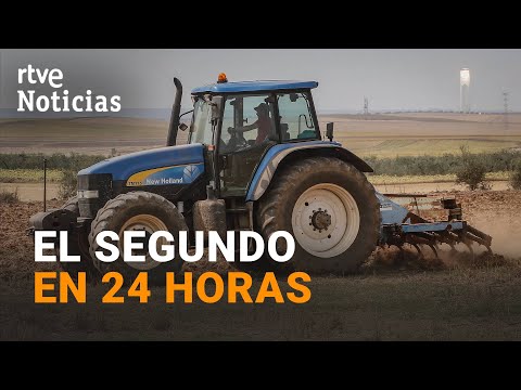 OLA DE CALOR: MUERE un AGRICULTOR en Cinco Casas (CIUDAD REAL) mientras trabajaba | RTVE Noticias