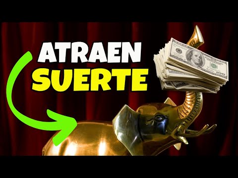 ¿Por qué los Elefantes Atraen Suerte?  2022