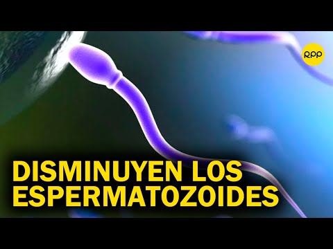 Espermatozoides disminuyen en los hombres de todo el mundo ¿qué está pasando?