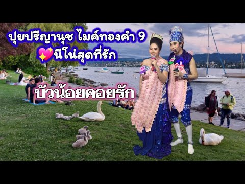 บัวน้อยคอยรัก-นีโน่สุดที่รัก💖ป บัวน้อยคอยรัก-นีโน่สุดที่รัก💖ป