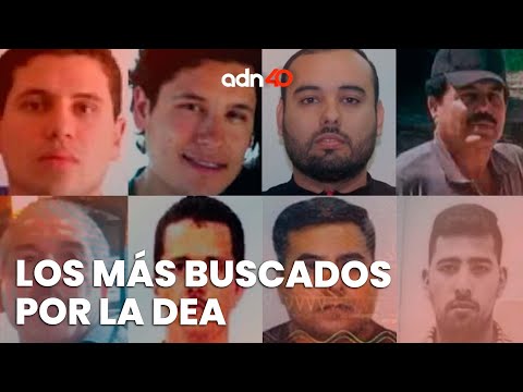 ¿Quién encabeza la lista de los 10 fugitivos más buscados por la DEA? | El juego del acertijo