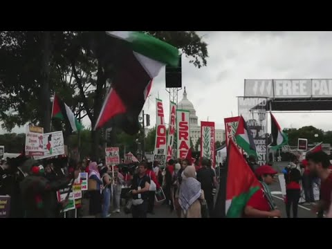 Police use tear gas on pro-Palestine protestors in Washington D.C.