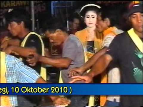 Bojo wayohan-bojo loro