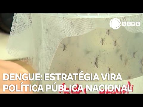 Estratégia de combate à dengue vira política pública nacional