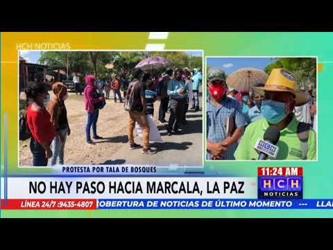 ¡Protesta! Campesinos se toman carretera entre La Paz y Marcala exigiendo un alto a la deforestación