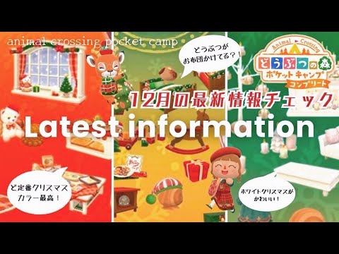 【神】ポケ森コンプリートに出る新家具情報！クリスマスのかわいい家具が盛り沢山で大変なことになってます