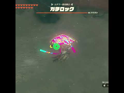 【ティアキン】ルチマー高地東のガチロック　ゼルダの伝説ティアーズ オブザキングダムオルパー台地のガチロック #ティアキン #shorts