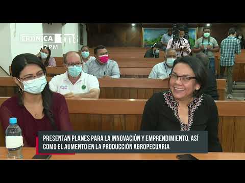 Innovación, emprendimiento y producción agropecuaria en Nicaragua