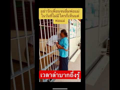 youtubeshortsเพื่อนรักแท้พ่