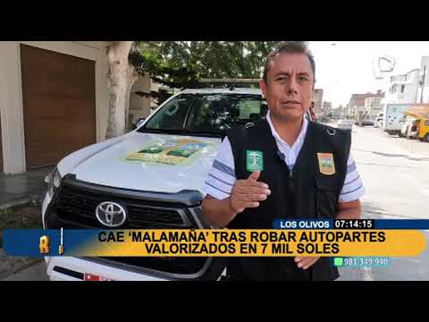 Los Olivos: Cae ladrón tras robar autopartes valorizadas en 7 mil soles