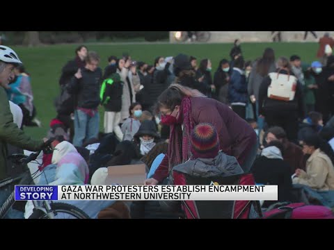 Northwestern students set up camps on Evanston campus in pro-Palestinian protest