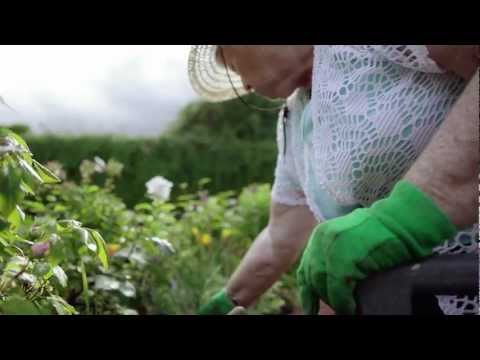 Stephen James Smith Concert Tickets - 2026 Tour Dates.