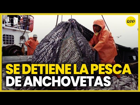 Produce: No se dará inicio a la nueva temporada de pesca de anchoveta