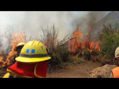 Buscan sofocar incendio forestal en Sololá
