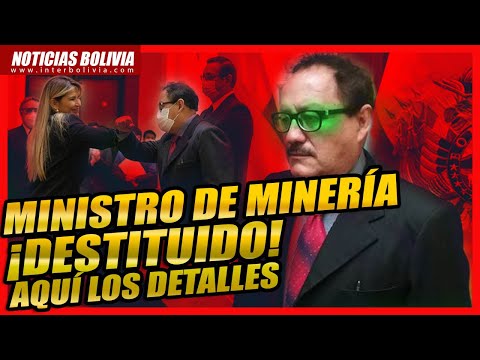 ? Áñez destituyó al ministro de Minería de Bolivia por sus “expresiones r a c i s t a s” ?