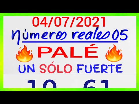 NÚMEROS PARA HOY 04/07/21 DE JULIO PARA TODAS LAS LOTERÍAS....!! Números reales 05 para hoy.....!!