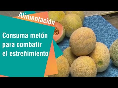 Consuma melón para combatir el estreñimiento y la hipertensión | Alimentación Sana