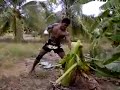 Thai Fighter