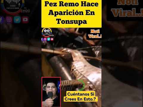 #pezRemo #tonsupa #esmeraldas #sismo #shorts #tendencia #viral #videos #alerta #urgente #noticiasec