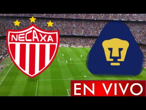 Donde ver Necaxa vs. Pumas en vivo, por la Jornada 5, Liga MX 2021