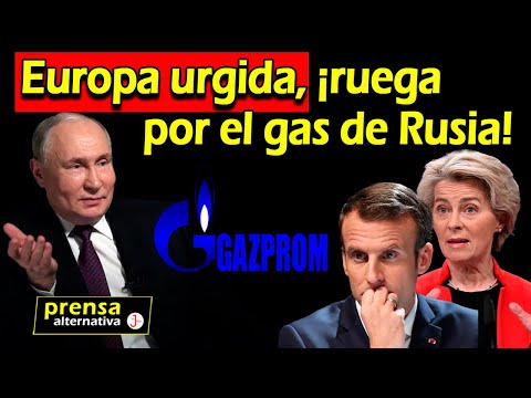 Vuelve el Gas Ruso: Europa no aguantó y permite que Rusia... | Charla con Ivette y Margarita
