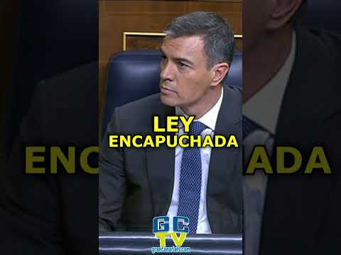 LEY ENCAPUCHADA Feijóo sobre la derogación de la Ley Mordaza #pp #psoe #vox #sumar #podemos