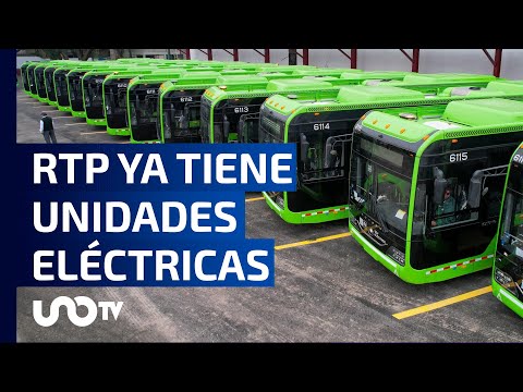 RTP ya tiene sus primeras 50 unidades eléctricas