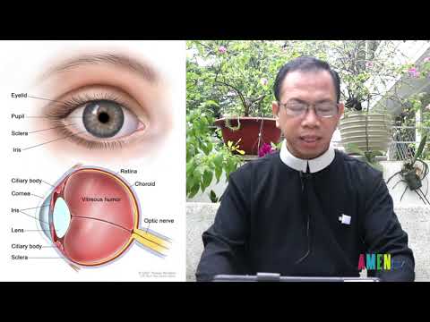 Học Kinh Thánh Bài 93: Biểu tượng con ngươi mắt hoặc đồng tử mắt - Lm. Gioakim Hà Ngọc Phú, DCCT