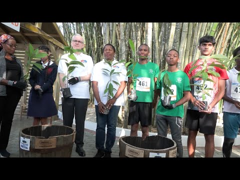 EU Run and Tree Planting Event
