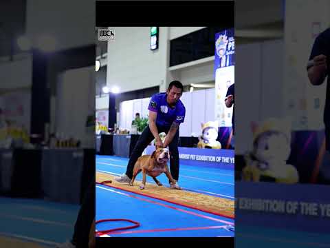 ศึกษา เกตุนาค แกรนด์แชมเปี้ยนส์มอนสเตอร์ ศึกษา เกตุนาค แกรนด์แชมเปี้ยนส์มอนสเตอร์